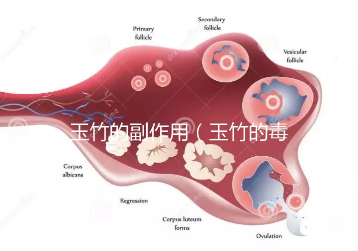 玉竹的副作用（玉竹的毒性有多強(qiáng)？）