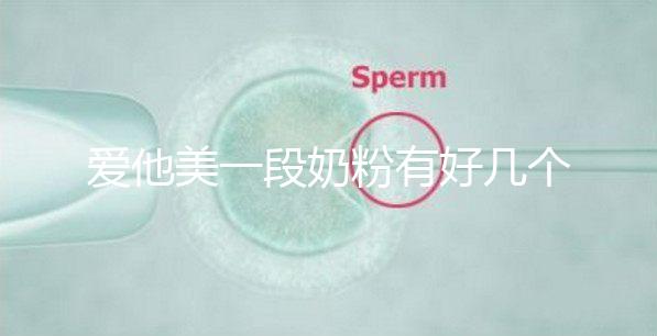 愛他美一段奶粉有好幾個版本，但真偽查詢方法都相似