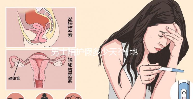 男士陪護(hù)假多少天?各地陪產(chǎn)假天數(shù)匯總