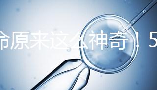 生命原來這么神奇！5個步驟詮釋胚胎培育的全過程