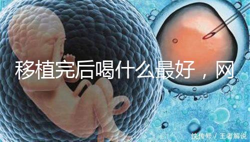 移植完后喝什么最好，網友推薦美味營養做法簡單大補湯