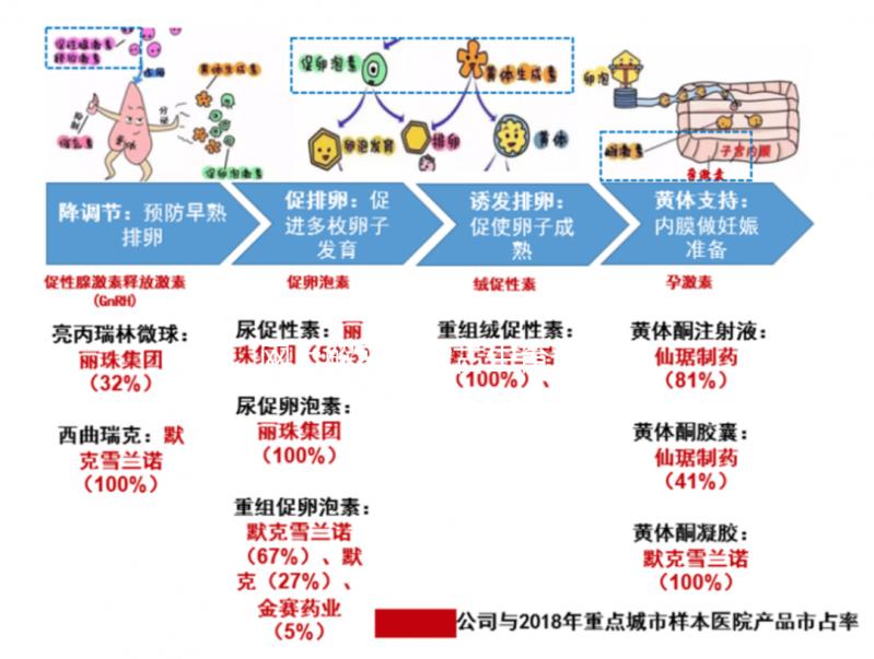 網上解密內蒙古生育登記要不要辦理,想造包頭怎么辦?