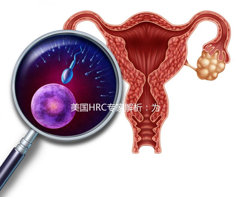 美國HRC專家解析：為何用第二代試管嬰兒技術結合精卵？–美國HRC