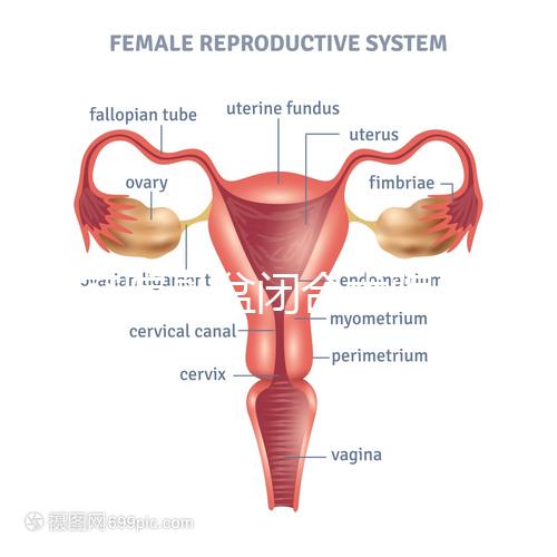 美容院骨盆閉合術(shù)騙局公開(kāi)，不但沒(méi)用還會(huì)造成損傷要小心