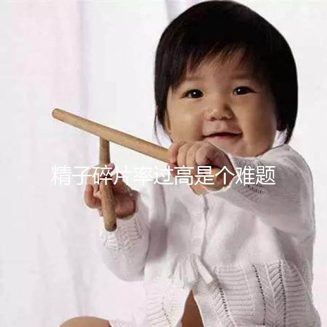 精子碎片率過高是個(gè)難題，改善質(zhì)量只靠勃銳精可不行