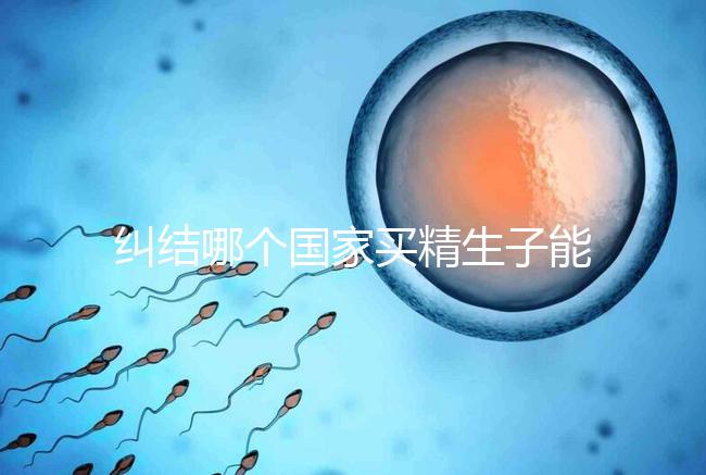 糾結哪個國家買精生子能看照片快收藏！血型、身高可了解