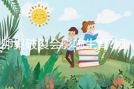 卵巢破裂會影響生育?姐妹們看完本文后再進(jìn)行判斷吧