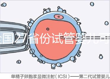 全國27省份試管嬰兒可報(bào)銷,這些城市醫(yī)保政策最新匯總