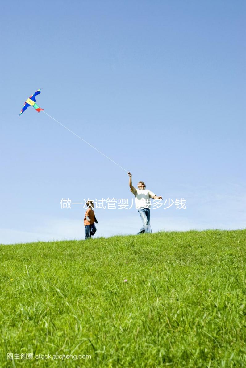 做一次試管嬰兒要多少錢