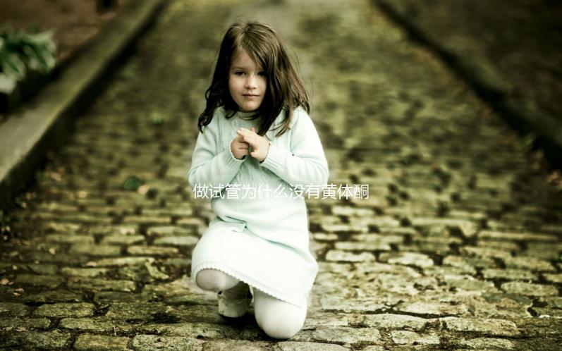 做試管為什么沒有黃體酮?2025年生殖科醫(yī)生權(quán)威解讀:從個體差異、醫(yī)療方案到科學應對的全流程指南