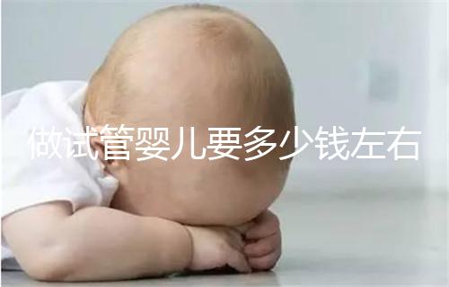 做試管嬰兒要多少錢左右？