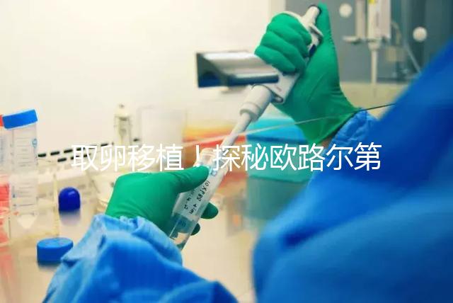 取卵移植！探秘歐路爾第三代試管嬰兒的流程