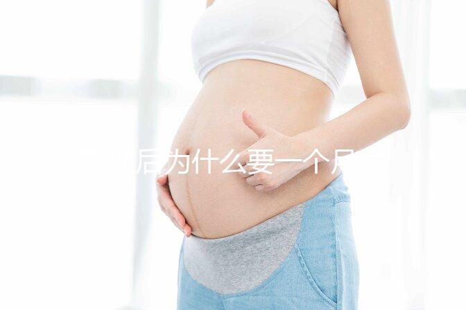 取卵后為什么要一個月后移植？深度解析與科學依據