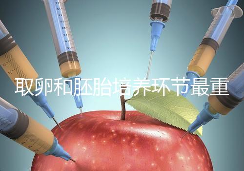 取卵和胚胎培養環節最重要？做試管嬰兒的你一定不知道！