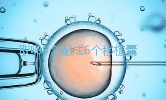 取卵9個(gè)配成6個(gè)移植囊胚成功率不高？專(zhuān)家：做三代試管夠了