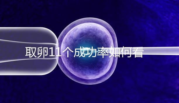 取卵11個(gè)成功率如何看胚胎配成數(shù),只受精兩個(gè)要找找原因