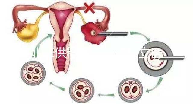 北京供精人工授精私立醫院排名表來了！哪個好看就知道了？