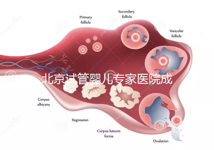 北京試管嬰兒專家醫院成功率高嗎，醫院推薦與費用解析