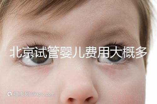 北京試管嬰兒費用大概多少？公立醫院與私立醫院對比分析
