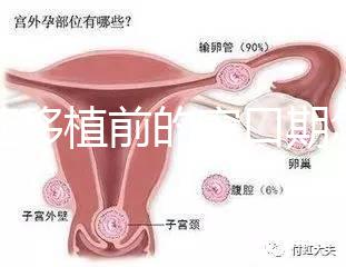 凍胚移植前的窗口期怎么判斷要早知,或與月經周期有關系