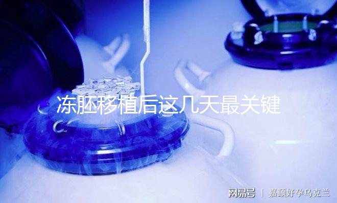 凍胚移植后這幾天最關鍵！一文揭秘重要原因