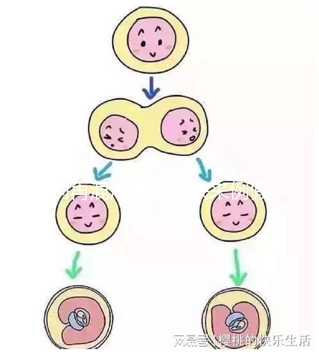 別再混淆著床和快來例假了，除了出血量還有這些區別