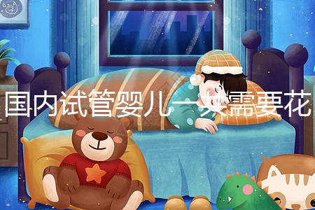 國內試管嬰兒一共需要花多少錢看這里，技術的選擇是關鍵