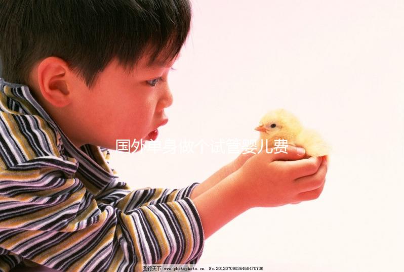 國外單身做個試管嬰兒費用大概要多少？