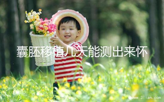 囊胚移植幾天能測出來懷孕？