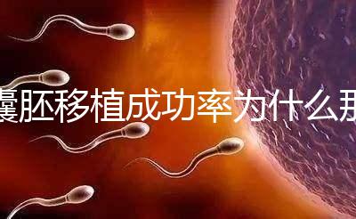 囊胚移植成功率為什么那么高？一期給你講明白！