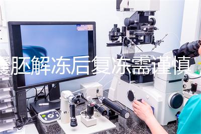 囊胚解凍后復(fù)凍需謹(jǐn)慎，這些對(duì)胚胎質(zhì)量的影響不可不知