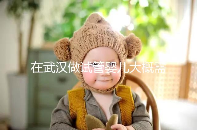 在武漢做試管嬰兒大概需要多少錢？武漢同濟(jì)醫(yī)院做試管可以選性別嗎？