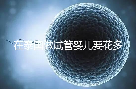 在泰國做試管嬰兒要花多少錢？一位助孕顧問的深夜坦白