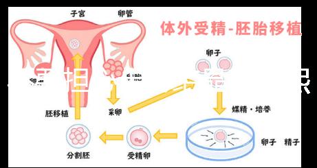 不要擔心十月結晶和曼熙哪個洗澡盆好，先知道怎么安裝