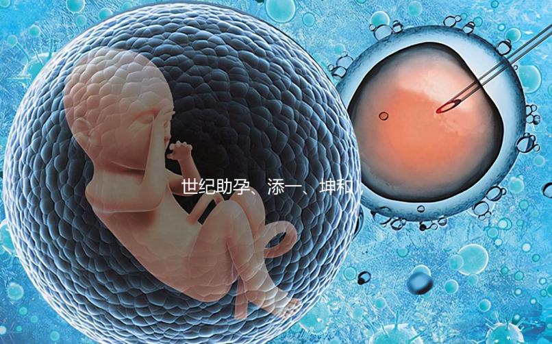 世紀助孕、添一、坤和，一起來看看上海助孕公司哪家好？