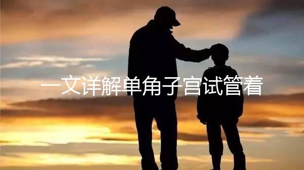 一文詳解單角子宮試管著床困不困難,失敗或和這幾點(diǎn)有關(guān)