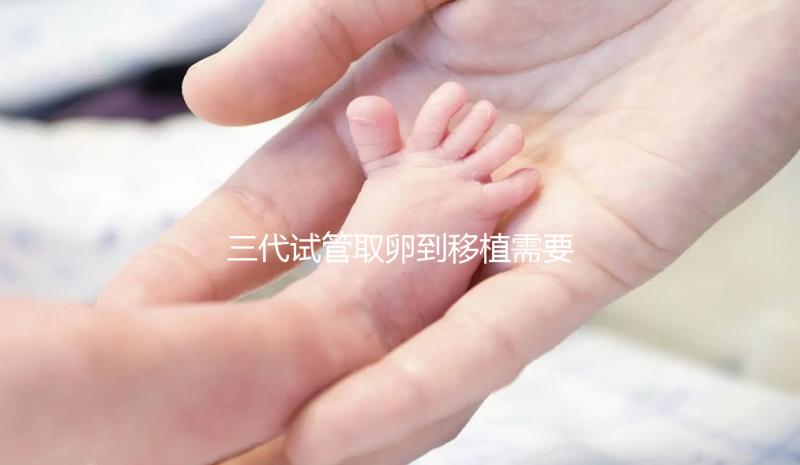 三代試管取卵到移植需要多久？總體時(shí)間安排分析