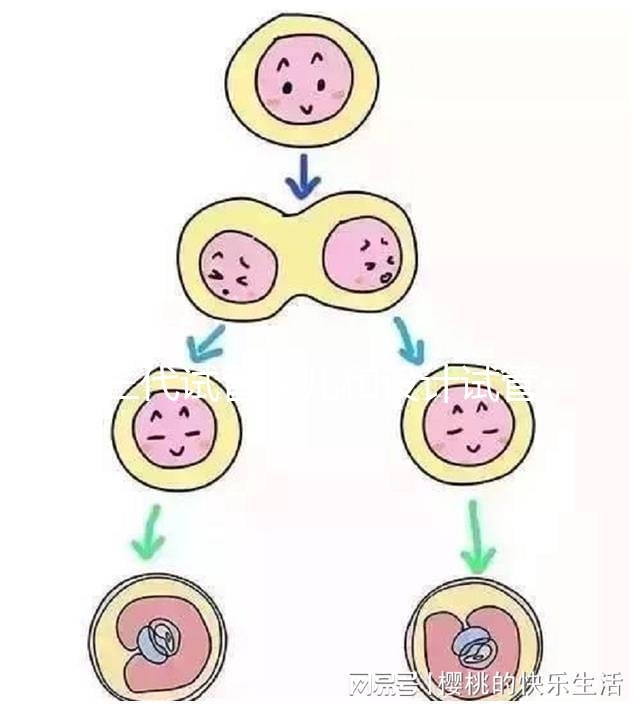 三代試管嬰兒和設(shè)計(jì)試管嬰兒一樣嗎？