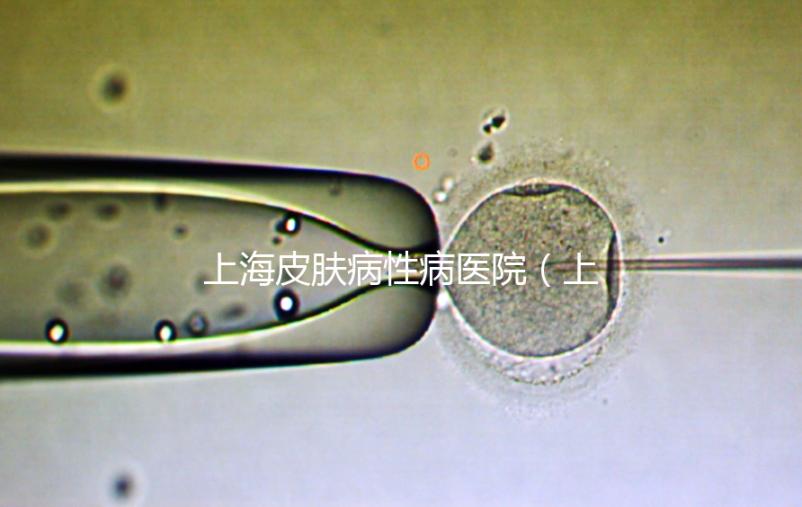 上海皮膚病性病醫(yī)院(上海梅毒醫(yī)院排名第一)