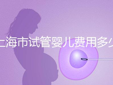 上海市試管嬰兒費(fèi)用多少錢？2025年最新價格明細(xì)及影響因素