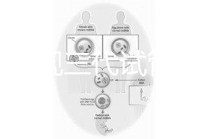 中國(guó)正規(guī)三代試管嬰兒機(jī)構(gòu)名單,2025生殖機(jī)構(gòu)排名參考
