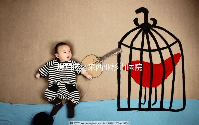 想知道馬來西亞杉山醫院試管嬰兒治療費用清單嗎？看這里