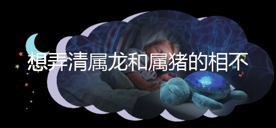 想弄清屬龍和屬豬的相不相配速覽,合得來(lái)不都幫你總結(jié)了