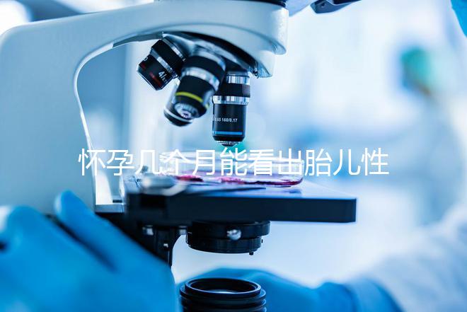 懷孕幾個(gè)月能看出胎兒性別?不清楚的姐妹們都看過來!