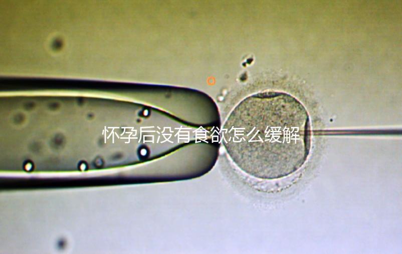 懷孕后沒有食欲怎么緩解?