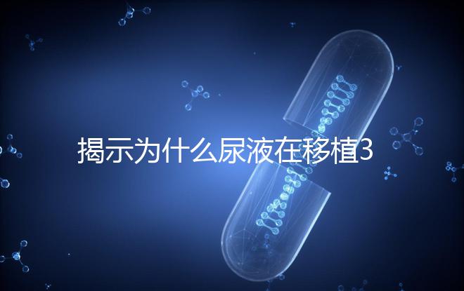 揭示為什么尿液在移植30天后需要稀釋才能測量，正常情況下不一目了然