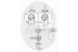 揭秘上環對身體的5大壞處，女人別再無知了