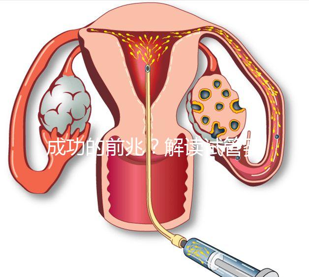 成功的前兆？解讀試管嬰兒移植后為什么容易出汗