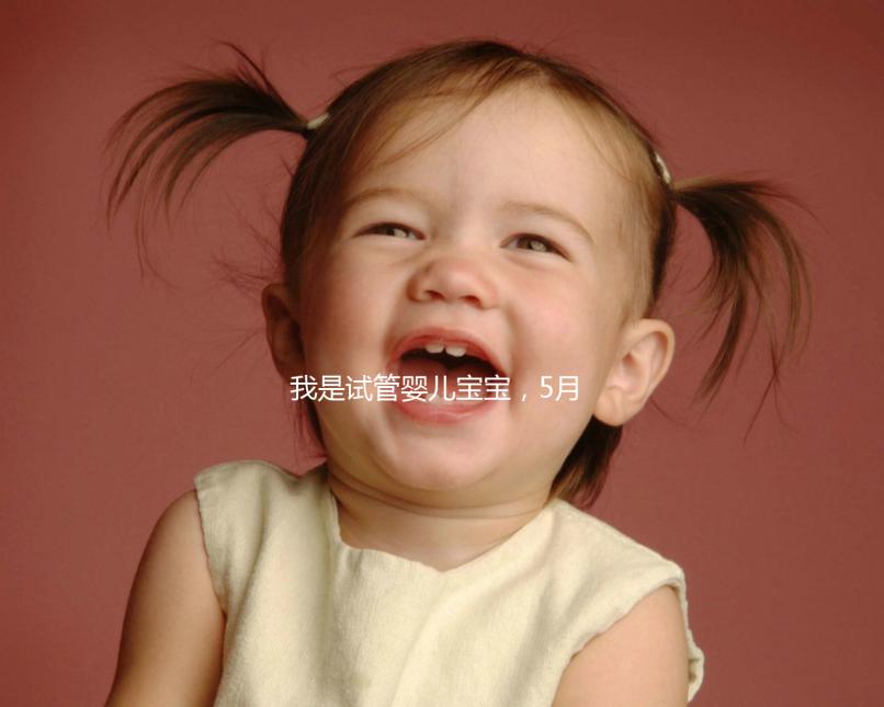 我是試管嬰兒寶寶，5月15號(hào)移植的囊胚，預(yù)產(chǎn)期是怎么算的 。。？