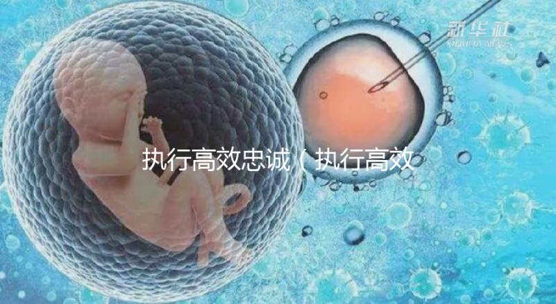 執(zhí)行高效忠誠(chéng)（執(zhí)行高效忠誠(chéng)的成語）